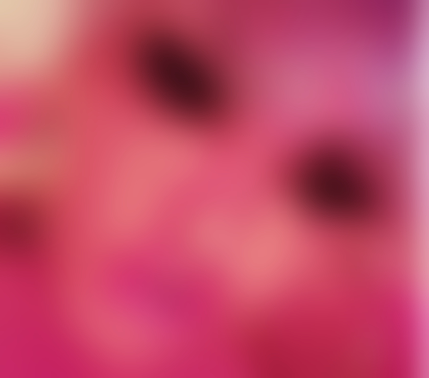 Trans Escorts Lancashire Blackpool -